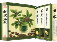 草药本草清单，枳实的来源与部位详解