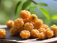 揭秘金樱子—道地产区对比差异