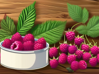 本草清单覆盆子随便混搭风险提示