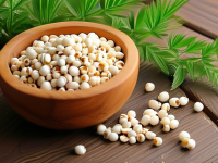 草药本草清单，薏苡仁与菊花的搭配常识