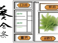 草药本草清单厨房本草夜交藤—揭秘其来源与特点
