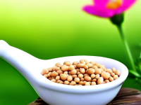 草药本草清单，莱菔子与生姜搭配的奥秘