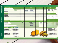 草药本草清单陈皮的泡制与应用