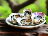 揭秘牡蛎炮制后的差异，本草清单图解