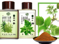 揭秘草药本草清单中茵陈的炮制前处理步骤