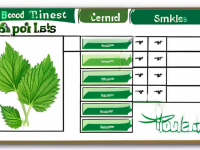 草药本草清单紫苏要点