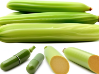 药本草清单黄芩食用禁忌人群