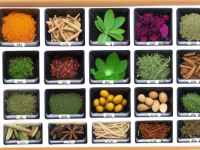 揭秘草药本草清单中的祛湿高手