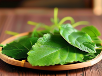 草药本草清单艾叶别名对照汇总