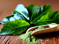 艾叶—草药本草清单中的神秘力量