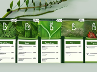 草药本草清单利水常识边界