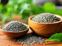 揭秘草药本草清单中的决明子，闻味辨别要点全解析