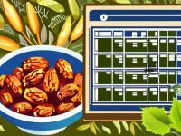 草药本草清单大枣与大枣搭配常识