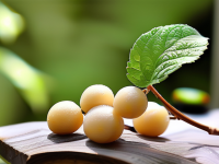 草药本草清单金樱子过敏体质注意要点