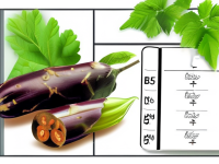 草药本草清单，鸡血藤的食用禁忌与适宜人群