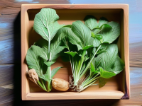 草药本草清单板蓝根入膳怎么选