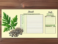 草药本草清单老年珍珠母使用提示