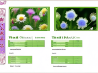 草药本草清单清热相关易混对照清单