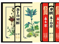 草药本草清单解表常见误区整理