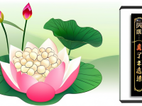 药本草清单莲子禁忌注意要点