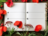 草药本草清单中的红花，随意混搭的隐患与风险