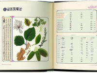 草药本草清单桂枝性味归经速查