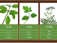 草药本草清单甘草易混对照要点