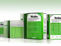 草药本草清单知母规格整理