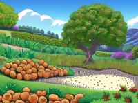 草药本草清单，枳实的混搭风险与避坑指南