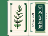 草药本草清单煮制入门图解