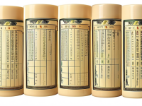 草药本草清单，当归饮片形态解析