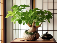 草药本草清单名贵迷思天麻怎么理性看