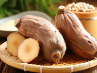 何首乌炮制后差异对照