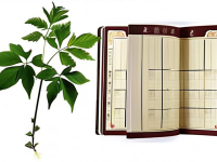 揭秘草药本草清单鸡血藤天天进补误区拆解